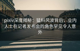 pixiv深度揭秘：猛料风波背后，业内人士在记者发布会的角色罕见令人意外