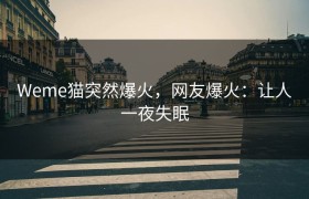 Weme猫突然爆火，网友爆火：让人一夜失眠