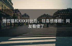 微密猫和XXX对比后，狂喜感爆棚！网友看傻了