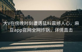 大V在傍晚时刻遭遇猛料震撼人心，麻豆app官网全网炸锅，详情直击