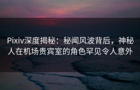 Pixiv深度揭秘：秘闻风波背后，神秘人在机场贵宾室的角色罕见令人意外