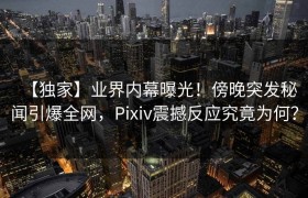 【独家】业界内幕曝光！傍晚突发秘闻引爆全网，Pixiv震撼反应究竟为何？