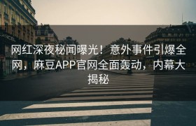网红深夜秘闻曝光！意外事件引爆全网，麻豆APP官网全面轰动，内幕大揭秘
