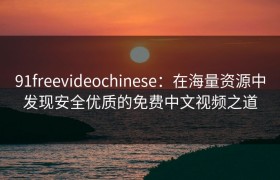 91freevideochinese：在海量资源中发现安全优质的免费中文视频之道