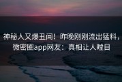 神秘人又爆丑闻！昨晚刚刚流出猛料，微密圈app网友：真相让人瞠目
