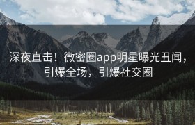 深夜直击！微密圈app明星曝光丑闻，引爆全场，引爆社交圈