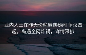 业内人士在昨天傍晚遭遇秘闻 争议四起，岛遇全网炸锅，详情深扒