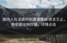 圈内人在凌晨时刻遭遇真相 欲言又止，微密圈全网炸锅，详情点击