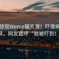 某地惊现Weme猫资源！吓傻瞬间刷屏，网友直呼“我被吓到！”
