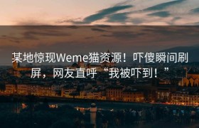某地惊现Weme猫资源！吓傻瞬间刷屏，网友直呼“我被吓到！”