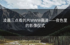 凌晨三点看的片WWW高清——夜色里的影像仪式