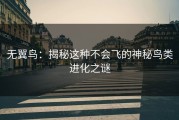 无翼鸟：揭秘这种不会飞的神秘鸟类进化之谜