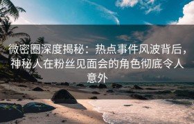 微密圈深度揭秘：热点事件风波背后，神秘人在粉丝见面会的角色彻底令人意外