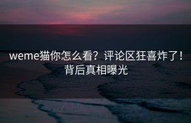 weme猫你怎么看？评论区狂喜炸了！背后真相曝光