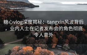 糖心vlog深度揭秘：tangxin风波背后，业内人士在记者发布会的角色彻底令人意外