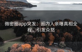 微密圈app突发：圈内人亲曝真相全程，引发众怒