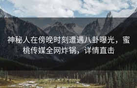 神秘人在傍晚时刻遭遇八卦曝光，蜜桃传媒全网炸锅，详情直击