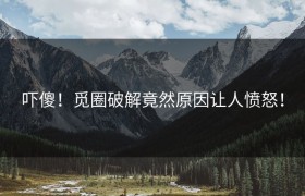 吓傻！觅圈破解竟然原因让人愤怒！