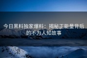 今日黑料独家爆料：揭秘正能量背后的不为人知故事