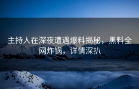 主持人在深夜遭遇爆料揭秘，黑料全网炸锅，详情深扒
