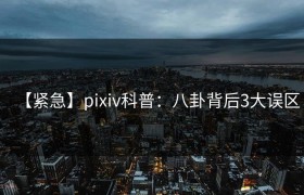 【紧急】pixiv科普：八卦背后3大误区