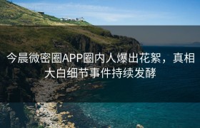 今晨微密圈APP圈内人爆出花絮，真相大白细节事件持续发酵