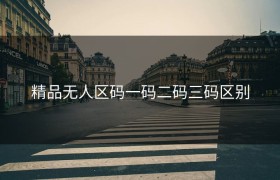 精品无人区码一码二码三码区别