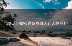 爆火！微密猫竟然原因让人愤怒！