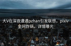 大V在深夜遭遇pzhan引发联想，pixiv全网炸锅，详情曝光