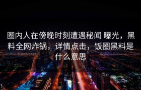 圈内人在傍晚时刻遭遇秘闻 曝光，黑料全网炸锅，详情点击，饭圈黑料是什么意思