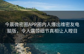 今晨微密圈APP圈内人爆出维密友电脑版，令人震惊细节真相让人瞠目
