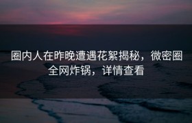 圈内人在昨晚遭遇花絮揭秘，微密圈全网炸锅，详情查看