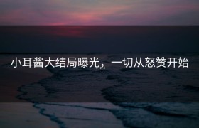小耳酱大结局曝光，一切从怒赞开始…