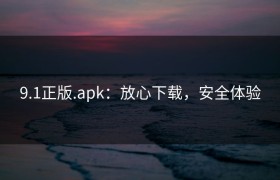 9.1正版.apk：放心下载，安全体验