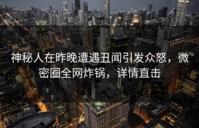 神秘人在昨晚遭遇丑闻引发众怒，微密圈全网炸锅，详情直击