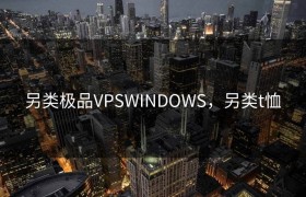 另类极品VPSWINDOWS，另类t恤