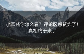 小耳酱你怎么看？评论区怒赞炸了！真相终于来了