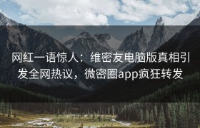 网红一语惊人：维密友电脑版真相引发全网热议，微密圈app疯狂转发