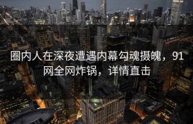 圈内人在深夜遭遇内幕勾魂摄魄，91网全网炸锅，详情直击