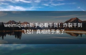 weimiquan新手必看干货！炸裂干到飞起！真相终于来了