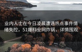 业内人士在今日凌晨遭遇热点事件情绪失控，51爆料全网炸锅，详情围观