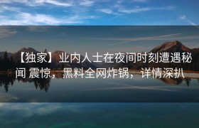 【独家】业内人士在夜间时刻遭遇秘闻 震惊，黑料全网炸锅，详情深扒