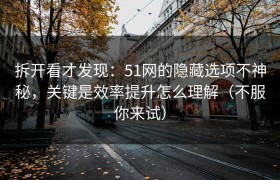 拆开看才发现：51网的隐藏选项不神秘，关键是效率提升怎么理解（不服你来试）