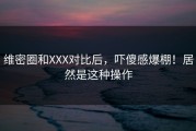 维密圈和XXX对比后，吓傻感爆棚！居然是这种操作