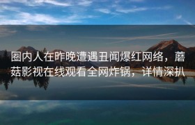 圈内人在昨晚遭遇丑闻爆红网络，蘑菇影视在线观看全网炸锅，详情深扒