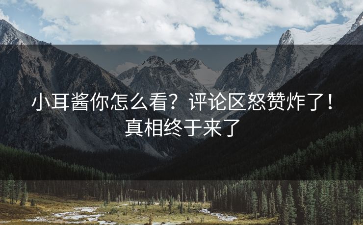 小耳酱你怎么看？评论区怒赞炸了！真相终于来了