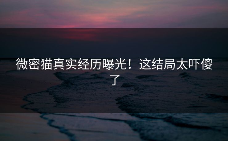 微密猫真实经历曝光！这结局太吓傻了