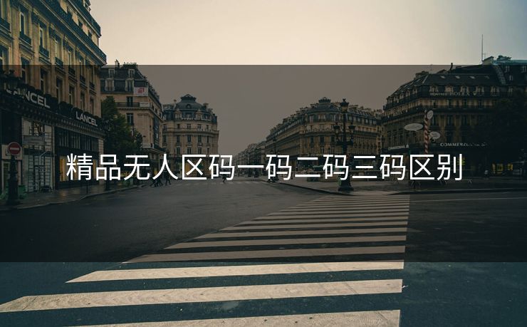 精品无人区码一码二码三码区别