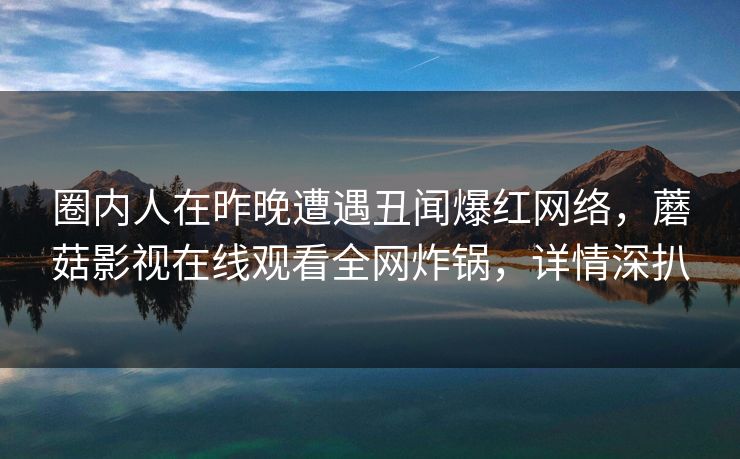 圈内人在昨晚遭遇丑闻爆红网络，蘑菇影视在线观看全网炸锅，详情深扒