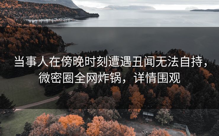 当事人在傍晚时刻遭遇丑闻无法自持，微密圈全网炸锅，详情围观